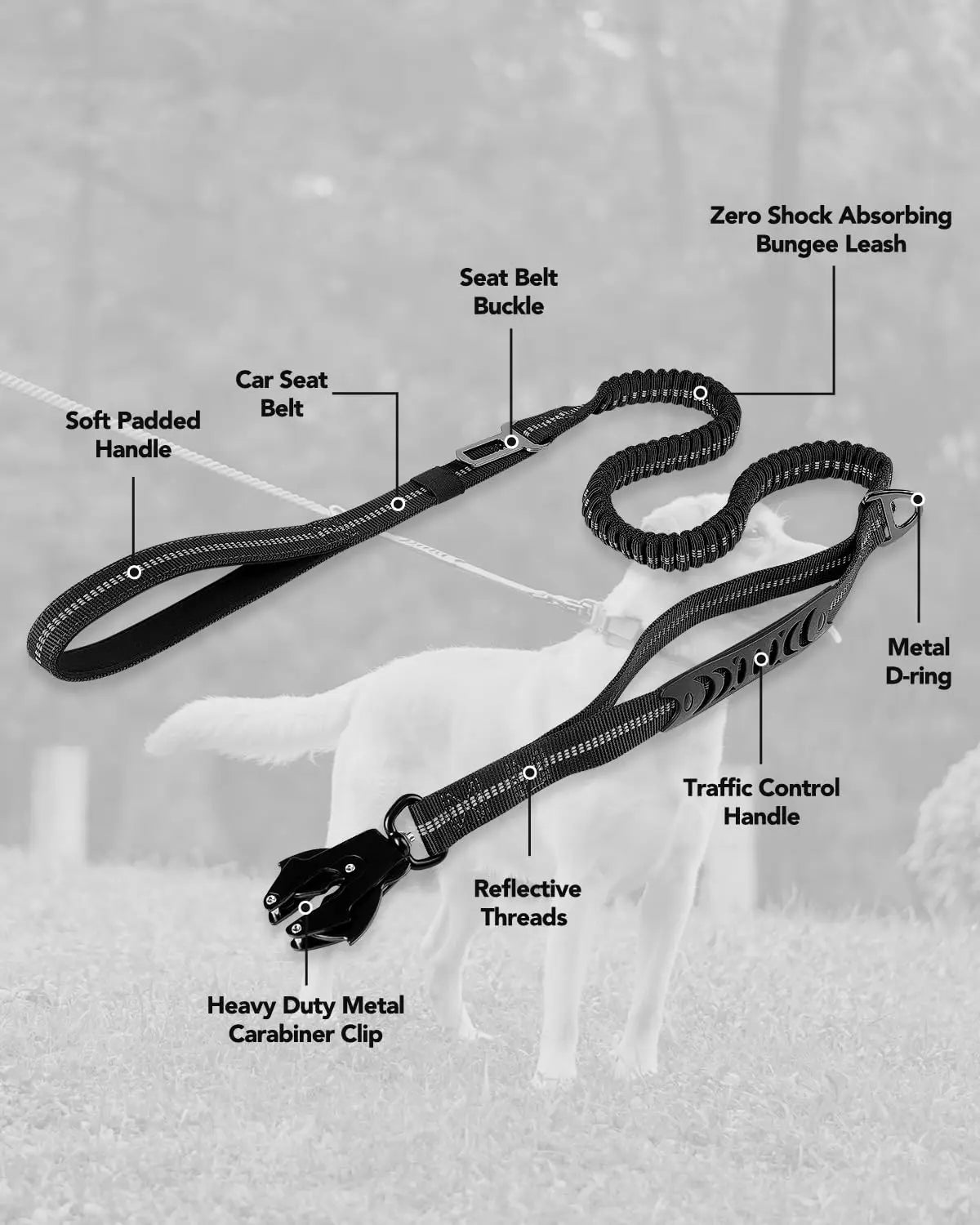 Strong Bungee Dog Leash