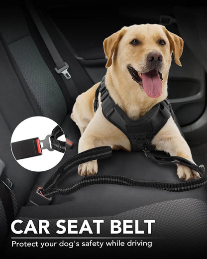 Strong Bungee Dog Leash