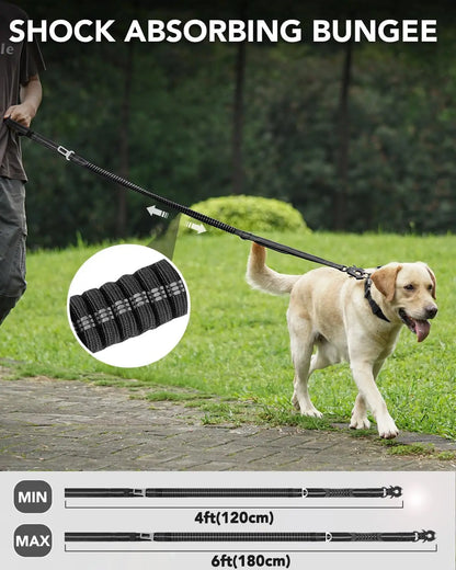 Strong Bungee Dog Leash